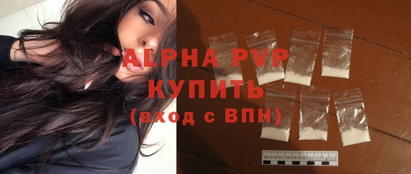 шишки Белокуриха