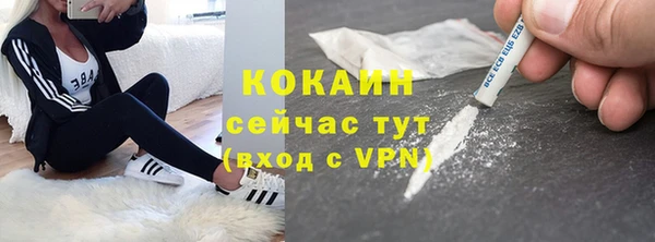 шишки Белокуриха