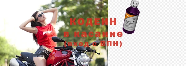 шишки Белокуриха