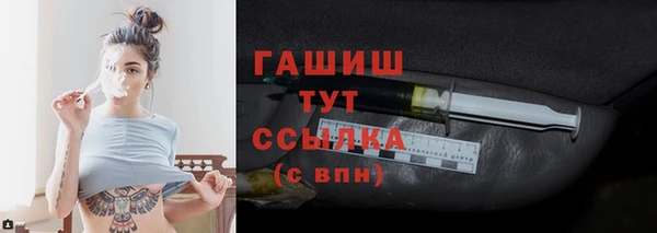 шишки Белокуриха