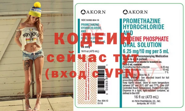 шишки Белокуриха
