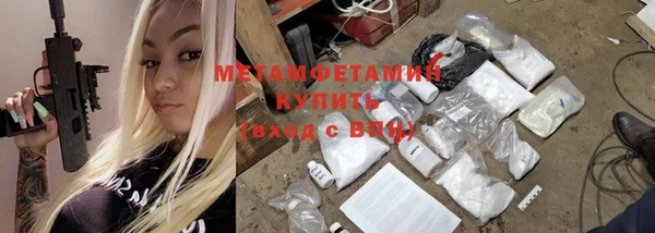 шишки Белокуриха
