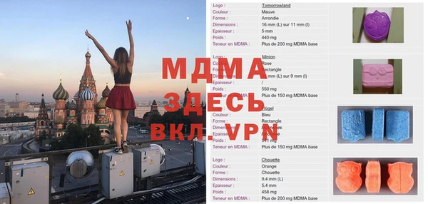 шишки Белокуриха
