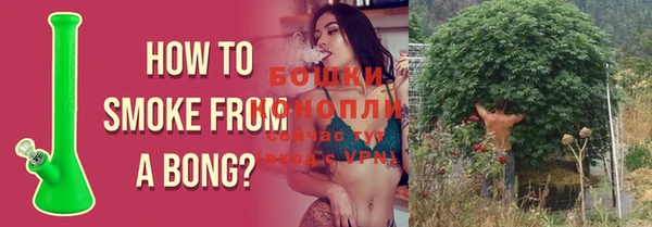шишки Белокуриха