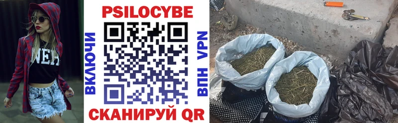 наркошоп  Первомайск  Псилоцибиновые грибы MAGIC MUSHROOMS 